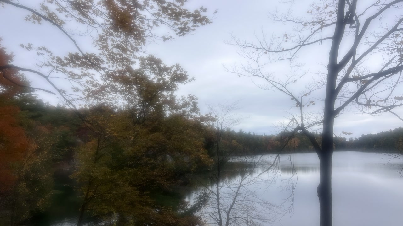 秋日粉湖